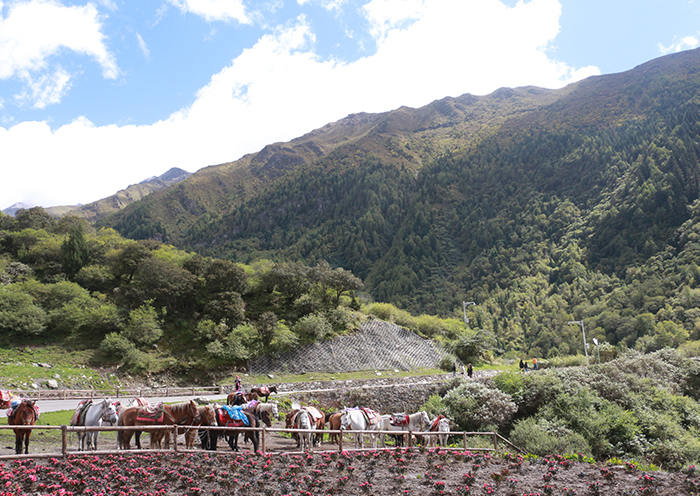 changping valley