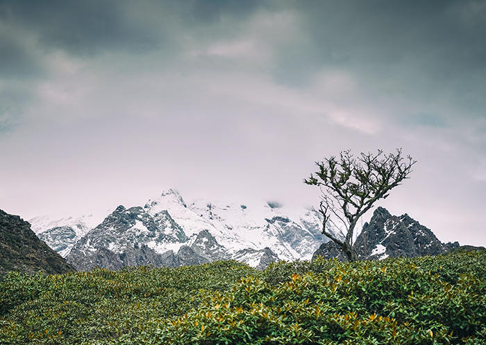 Haba Snow Mountain